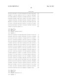 HIGH EXPRESSION ZYMOMONAS PROMOTERS diagram and image