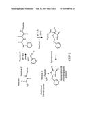 PEPTIDE IDENTIFICATION AND SEQUENCING BY SINGLE-MOLECULE DETECTION OF     PEPTIDES UNDERGOING DEGRADATION diagram and image