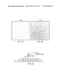 PEPTIDE IDENTIFICATION AND SEQUENCING BY SINGLE-MOLECULE DETECTION OF     PEPTIDES UNDERGOING DEGRADATION diagram and image