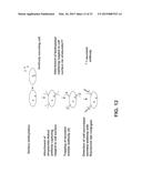 LIGAND SCREENING AND DISCOVERY diagram and image