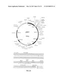 LIGAND SCREENING AND DISCOVERY diagram and image