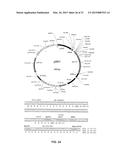 LIGAND SCREENING AND DISCOVERY diagram and image