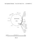 LIGAND SCREENING AND DISCOVERY diagram and image