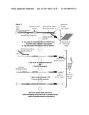 MEASUREMENT OF NUCLEIC ACID VARIANTS USING HIGHLY-MULTIPLEXED     ERROR-SUPPRESSED DEEP SEQUENCING diagram and image