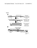 MEASUREMENT OF NUCLEIC ACID VARIANTS USING HIGHLY-MULTIPLEXED     ERROR-SUPPRESSED DEEP SEQUENCING diagram and image