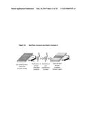 MEASUREMENT OF NUCLEIC ACID VARIANTS USING HIGHLY-MULTIPLEXED     ERROR-SUPPRESSED DEEP SEQUENCING diagram and image