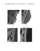 Tribological Synthesis Method for Producing Low-Friction Surface Film     Coating diagram and image