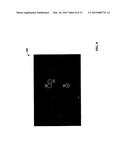 Injectable Gelling Material diagram and image