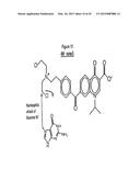 NOVEL BIFUNCTIONAL METNASE/INTNASE INHIBITORS AND RELATED COMPOSITIONS AND     METHODS OF TREATMENT OF CANCER diagram and image