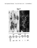 NOVEL BIFUNCTIONAL METNASE/INTNASE INHIBITORS AND RELATED COMPOSITIONS AND     METHODS OF TREATMENT OF CANCER diagram and image