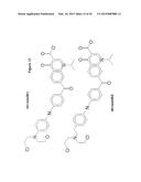 NOVEL BIFUNCTIONAL METNASE/INTNASE INHIBITORS AND RELATED COMPOSITIONS AND     METHODS OF TREATMENT OF CANCER diagram and image