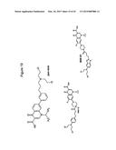 NOVEL BIFUNCTIONAL METNASE/INTNASE INHIBITORS AND RELATED COMPOSITIONS AND     METHODS OF TREATMENT OF CANCER diagram and image