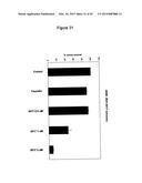 NOVEL BIFUNCTIONAL METNASE/INTNASE INHIBITORS AND RELATED COMPOSITIONS AND     METHODS OF TREATMENT OF CANCER diagram and image