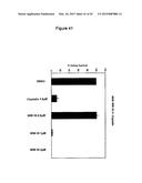 NOVEL BIFUNCTIONAL METNASE/INTNASE INHIBITORS AND RELATED COMPOSITIONS AND     METHODS OF TREATMENT OF CANCER diagram and image