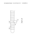 CATHETER FOR USE WITH AN ENDOSCOPE diagram and image