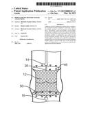 Medical Device Delivery Systems and Methods diagram and image