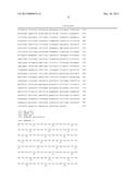 NON-HUMAN ANIMALS HAVING A HUMANIZED SIGNAL-REGULATORY PROTEIN GENE diagram and image