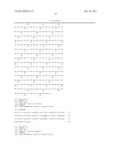 NON-HUMAN ANIMALS HAVING A HUMANIZED SIGNAL-REGULATORY PROTEIN GENE diagram and image