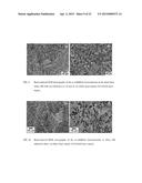 Recrystallization, Refinement, and Strengthening Mechanisms For Production     Of Advanced High Strength Metal Alloys diagram and image