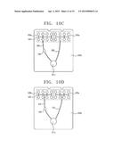 BLOOD FILTER APPARATUS FOR SEPARATING PLASMA OR SERUM FROM BLOOD AND USE     OF THE BLOOD FILTER APPARATUS diagram and image