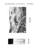 TUNABLE LASER-BASED INFRARED IMAGING SYSTEM AND METHOD OF USE THEREOF diagram and image