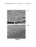 SILICONE HYDROGEL LENSES WITH WATER-RICH SURFACES diagram and image