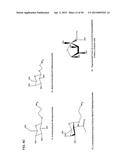 COMPETITIVE BINDING DENDRIMER-BASED SYSTEM FOR ANALYTE DETECTION diagram and image