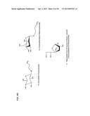 COMPETITIVE BINDING DENDRIMER-BASED SYSTEM FOR ANALYTE DETECTION diagram and image