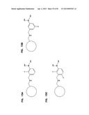 COMPETITIVE BINDING DENDRIMER-BASED SYSTEM FOR ANALYTE DETECTION diagram and image