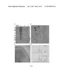 CELL-TARGETED MAGNETIC NANO-MATERIAL AND BIOMEDICAL USES THEREOF diagram and image