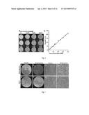 CELL-TARGETED MAGNETIC NANO-MATERIAL AND BIOMEDICAL USES THEREOF diagram and image