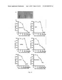 CELL-TARGETED MAGNETIC NANO-MATERIAL AND BIOMEDICAL USES THEREOF diagram and image