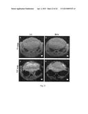 CELL-TARGETED MAGNETIC NANO-MATERIAL AND BIOMEDICAL USES THEREOF diagram and image