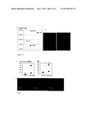 OSTEOGENIC DIFFERENTIATION OF MESENCHYMAL STEM CELLS diagram and image