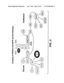 FIXED DOSING OF HER ANTIBODIES diagram and image