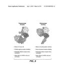 FIXED DOSING OF HER ANTIBODIES diagram and image