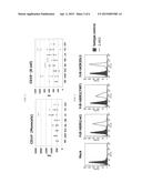 USE OF IMMUNESUPPRESSANT RECEPTOR diagram and image