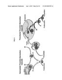 ANTI-FXI ANTIBODIES AND METHODS OF USE diagram and image