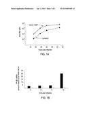 Influenza A Virus Vaccines and Inhibitors diagram and image