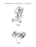 Influenza A Virus Vaccines and Inhibitors diagram and image