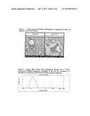 AGGREGATE NANOPARTICULATE MEDICAMENT FORMULATIONS, MANUFACTURE AND USE     THEREOF diagram and image