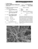 POROUS CELLULOSE BODY AND METHOD FOR PRODUCING SAME diagram and image