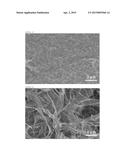 POROUS CELLULOSE BODY AND METHOD FOR PRODUCING SAME diagram and image