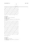 MAIZE EVENT DP-004114-3 AND METHODS FOR DETECTION THEREOF diagram and image