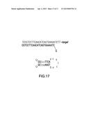 Thermophilic Helicase Dependent Amplification Technology With Endpoint     Homogenous Fluorescent Detection diagram and image