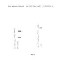 METHOD FOR DETERMINING THE CONCENTRATION OF THE ADIPOCYTIC FORM OF THE     FATTY ACID BINDING PROTEIN (A-FABP, FABP4, P2) diagram and image