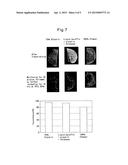 METHOD FOR EVALUATING COSMETIC diagram and image