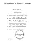 METHODS AND REAGENTS FOR MOLECULAR CLONING diagram and image