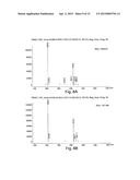 CELLULAR PRODUCTION OF GLUCARIC ACID diagram and image