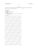 PRODUCTION OF ACETYL-COENZYME A DERIVED ISOPRENOIDS diagram and image